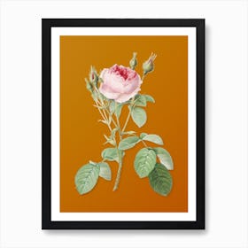 Vintage Double Moss Rose Botanical on Sunset Orange n.0387 Art Print