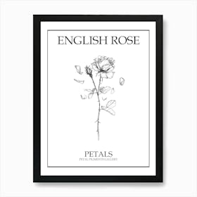 English Rose Petals Line Drawing 2 Poster Art Print