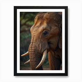 Elephant With Tusks Art Print