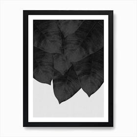 Banana Leaf Black & White II Art Print