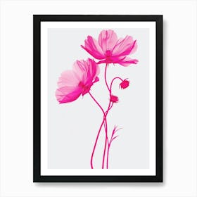 Hot Pink Cosmos 2 Art Print