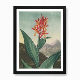 Hibiscus 52 Art Print