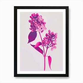 Hot Pink Lilac 2 Art Print