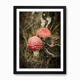 Red Mushrooms // Nature Photography 1 Art Print