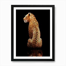 Leopard On A Black Background Art Print