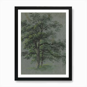 Two Oak Trees Art Print