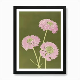 Pink & Green Scabiosa 1 Poster