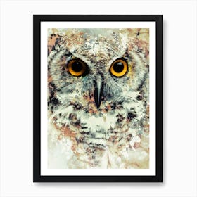 Owl 2 Art Print