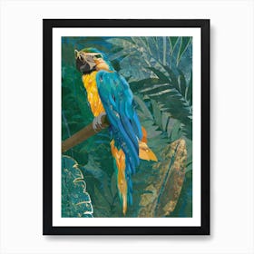 Blue And Yellow Macaw Art Print