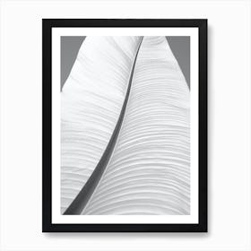 Black And White Banana Leaf Art Print