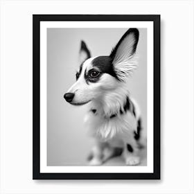 Papillon B&W Pencil Dog Art Print