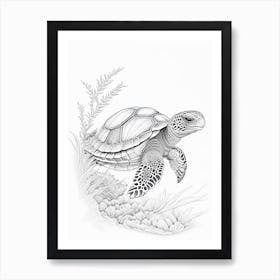 Hatching Sea Turtle, Sea Turtle Quentin Blake Illustration 1 Art Print