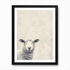 Sheep On A Wall Art Print