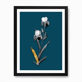 Vintage Elder Scented Iris Black and White Gold Leaf Floral Art on Teal Blue n.1104 Art Print