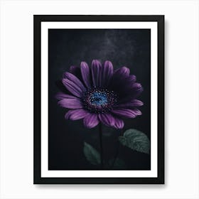 Purple Flower On Black Background Art Print