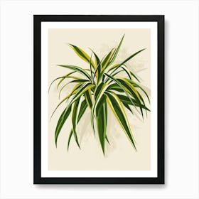 Spider Plant Minimalist Illustration 3 Póster