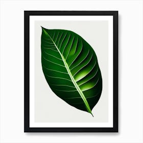 Kiwi Leaf Vibrant Inspired 2 Art Print