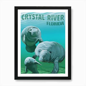 Crystal River Florida Art Print