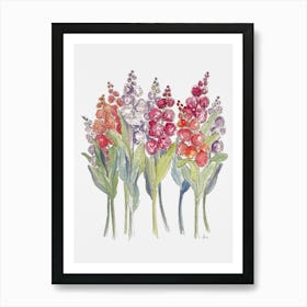 Bright Stock Flowers Art Print