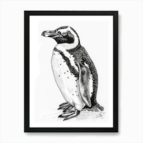 Emperor Penguin Staring Curiously 3 Art Print