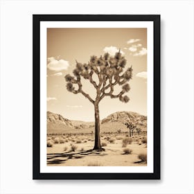  Photograph Of A Joshua Tree In Rocky Mountains 4 Art Print