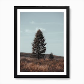 Open Range Pine Tree Art Print