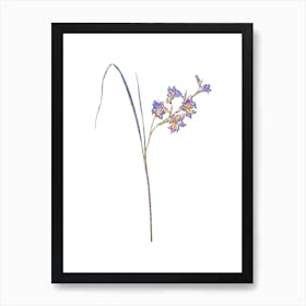 Stained Glass Gladiolus Ringens Mosaic Botanical Illustration on White n.0072 Art Print