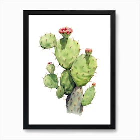 Opuntia Fragilis Cactus Watercolour Drawing 3 Art Print