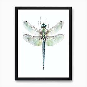 Common Green Darner Anax Junius 3 Art Print