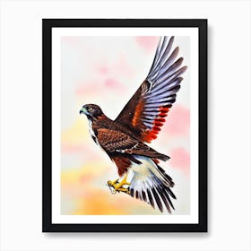 Red Tailed Hawk Watercolour Bird Art Print