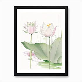 Lotus Flowers In Park Pencil Illustration 2 Art Print