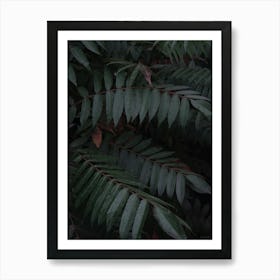 Dark Leaves In The Forest Vertical Art Print