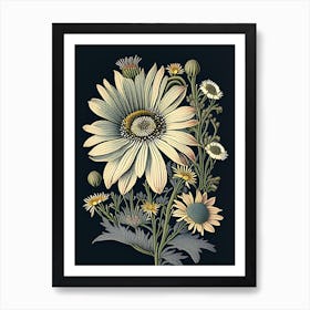 Osteospermum 1 Floral Botanical Vintage Poster Flower Art Print