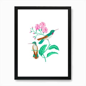 Two Hummingbirds Art Print