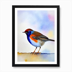 European Robin 2 Watercolour Bird Art Print