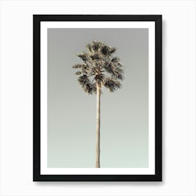 Palm Tree_2191206 Art Print