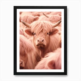 Pink Realistic Photography Of Highland Cows 4 Art Print