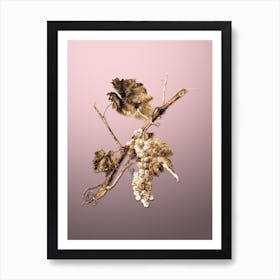 Gold Botanical Vermentino Grapes on Rose Quartz n.4875 Art Print