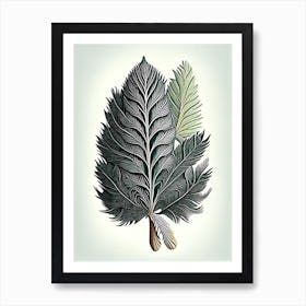 White Pine Leaf Vintage Botanical Art Print