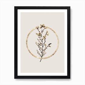 Gold Ring Adenocarpus Glitter Botanical Illustration n.0281 Art Print