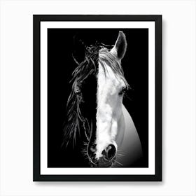 Black And White Horse 1 Art Print