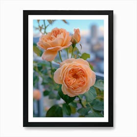 English Roses Painting Rose With A Cityscape 4 Art Print