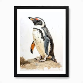 Humboldt Penguin Floreana Island Watercolour Painting 1 Art Print