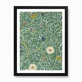 Kiwi Vintage Botanical Fruit Art Print