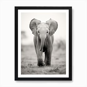 Baby Elephant In The Wild Art Print