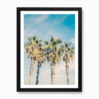 Palm Trees Blue Sky Art Print