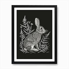 New Zealand Rabbit Minimalist Illustration 2 Art Print