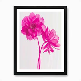 Hot Pink Everlasting Flower 2 Art Print