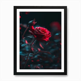 Red Rose Wallpaper 1 Art Print