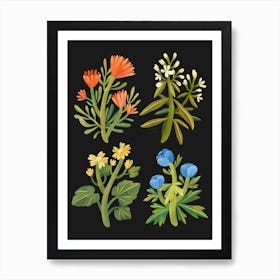 Wildflowers Art Print